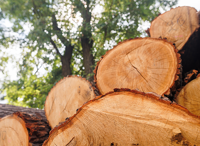 premium manufacturer